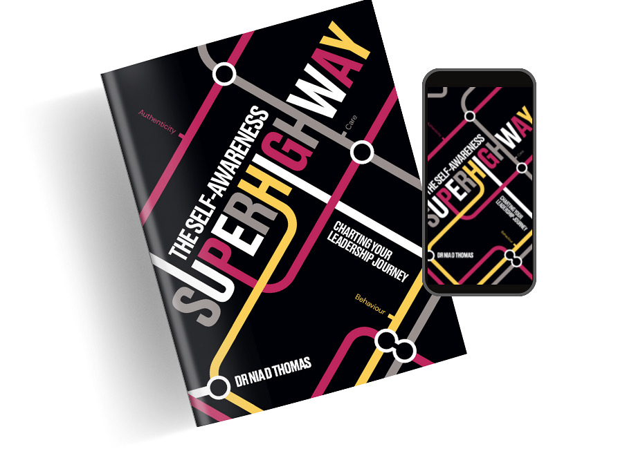 Self-Awareness Superhighway book cover