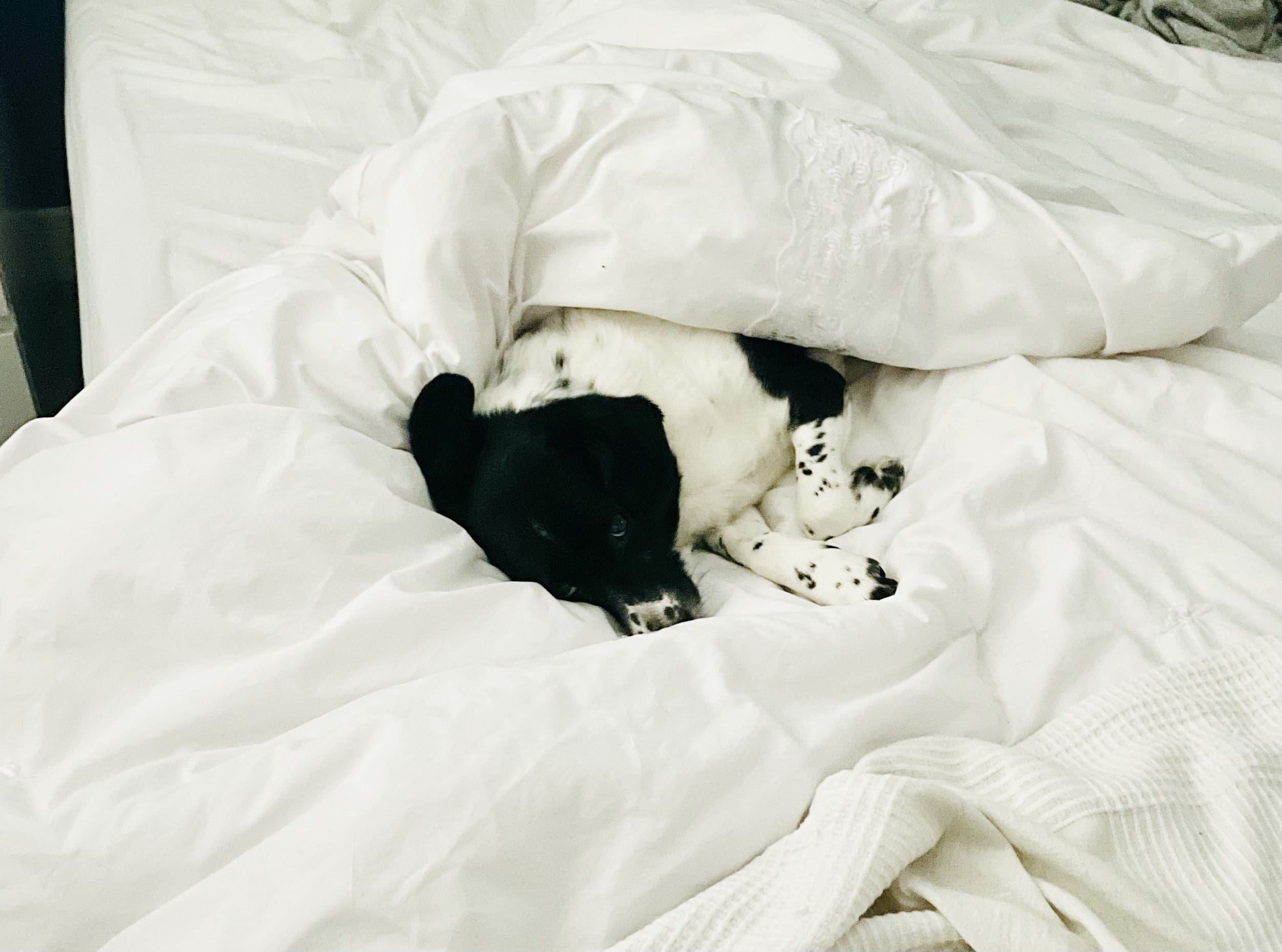 Tired