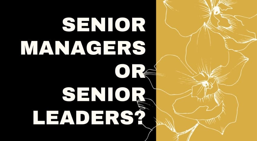 Senior Managers or Senior Leaders?