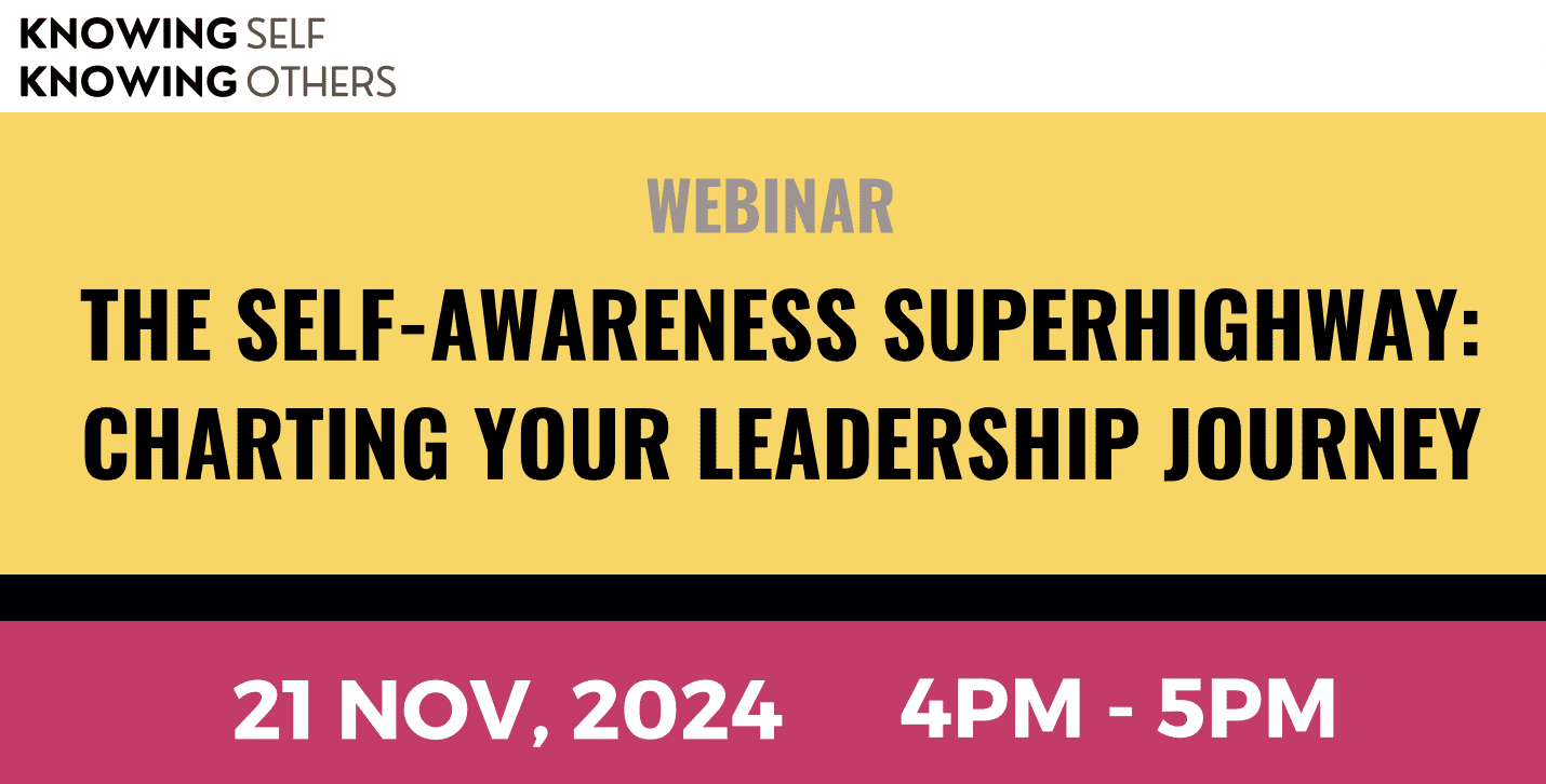 The Self-Awareness Superhighway: Charting Your Leadership Journey 21 Nov 2024