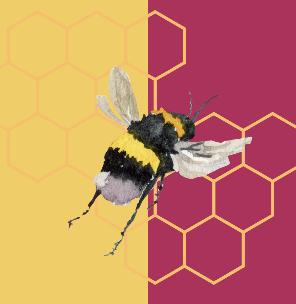 Cultivating Curiosity: 5 Ways to Take the Sting Out of Feedback Dr Nia D Thomas