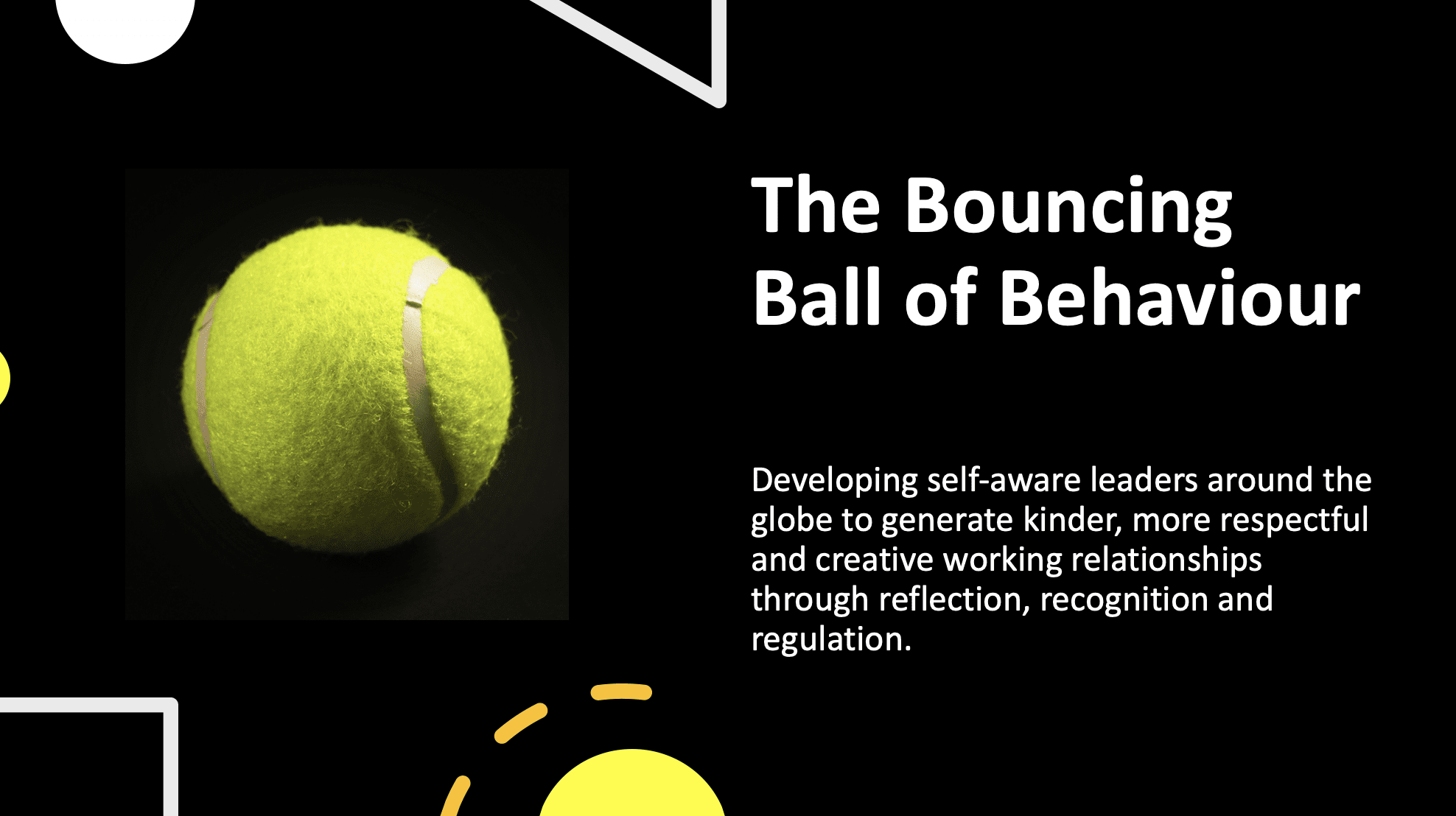 Bouncing Ball of Behaviour - Self-Aware Leadership Workshop