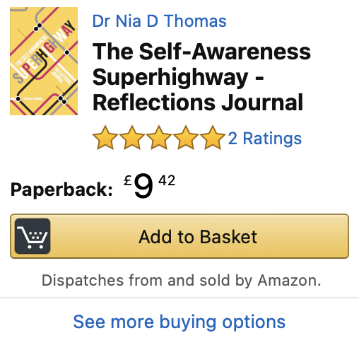 The Self-Awareness Superhighway - Reflections Journal on Amazon