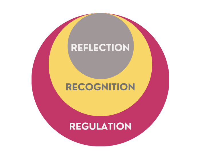 Reflection, Recognition, Regulation - self-aware leadership Dr Nia D Thomas