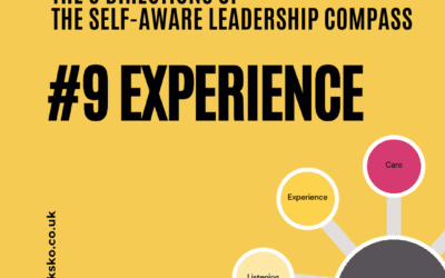 Core Concepts: The Self-Aware Leadership Compass #9 – EXPERIENCE